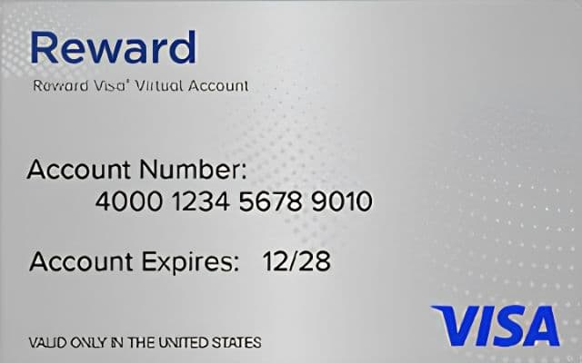 Visa Reward gift card
